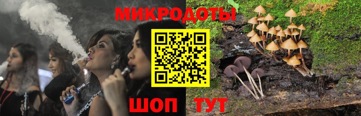 Галлюциногенные грибы мухоморы Елабуга